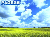 C[W04